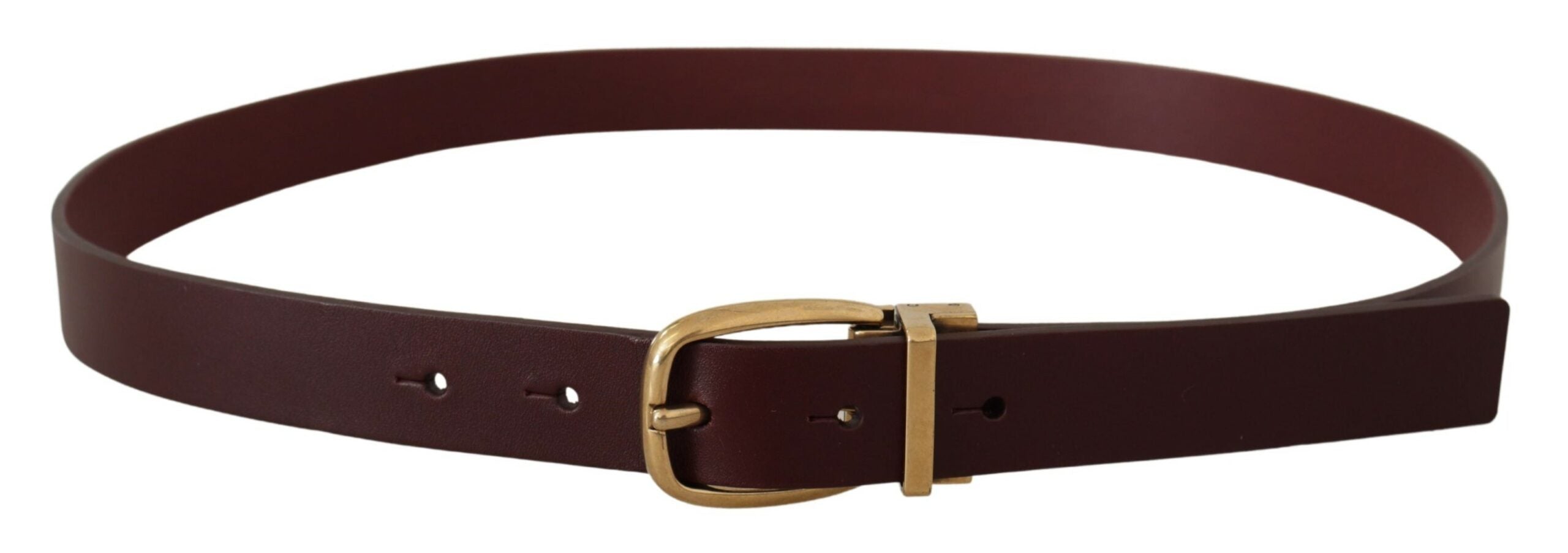 Dolce & Gabbana Elegant Brown Leather Belt with Gold Buckle - Luksusmuotia Dolce & Gabbana - Tutustu YVES JAVANNI® 