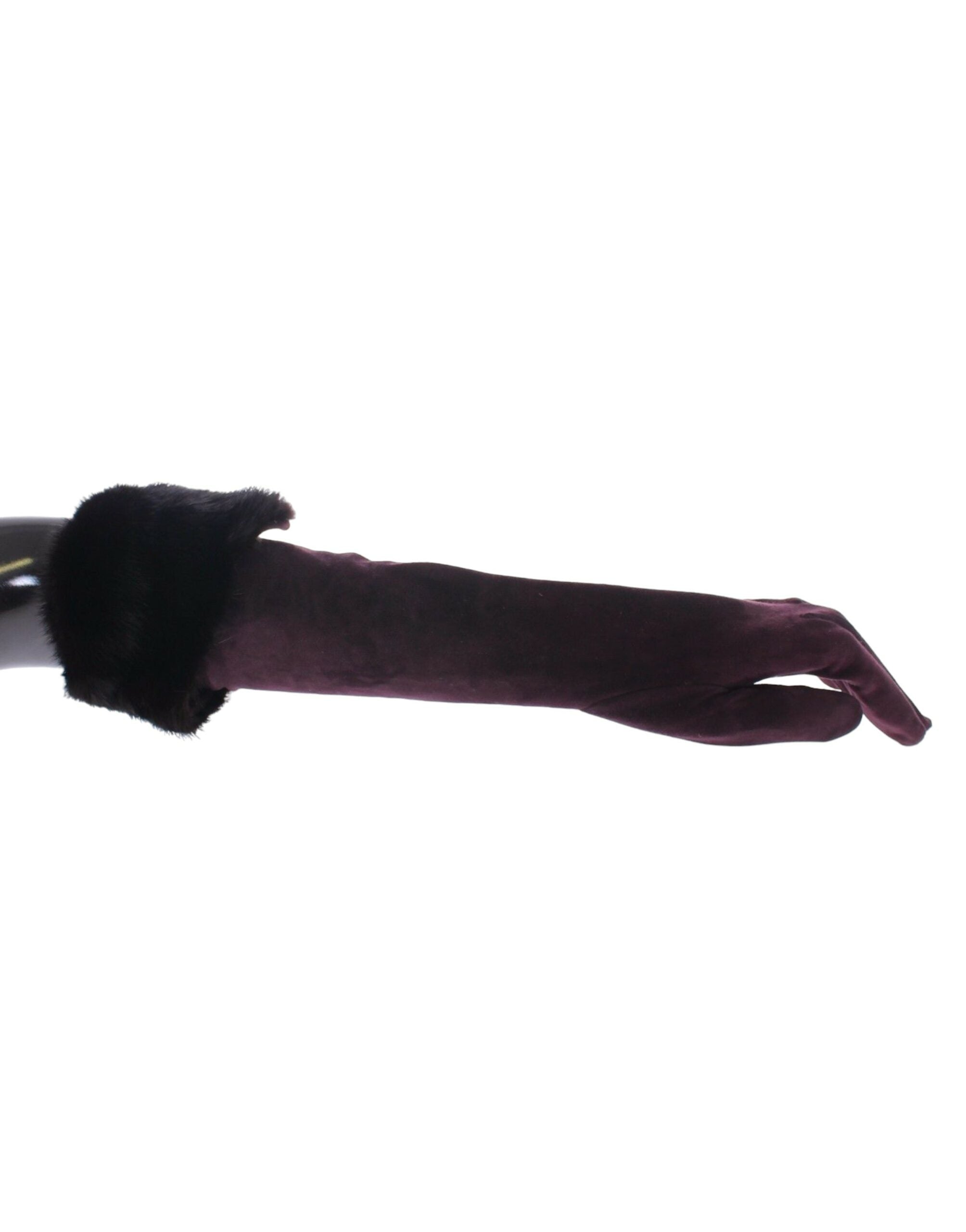 Dolce & Gabbana Elegant Elbow Length Purple Fur Gloves - Luksusmuotia Dolce & Gabbana - Tutustu YVES JAVANNI® 