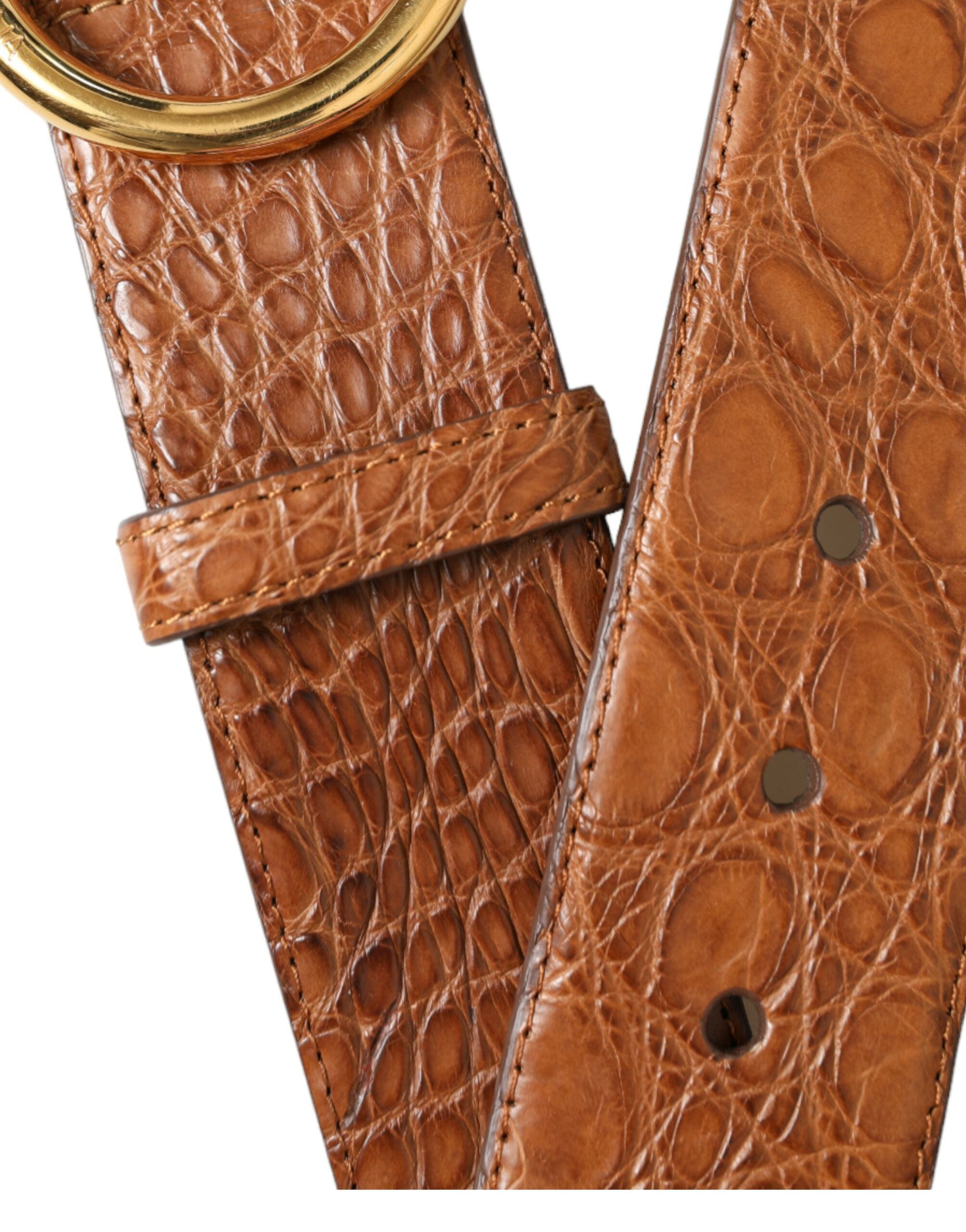 Dolce & Gabbana Elegant Exotic Leather Belt - Rich Brown - Luksusmuotia Dolce & Gabbana - Tutustu YVES JAVANNI® 