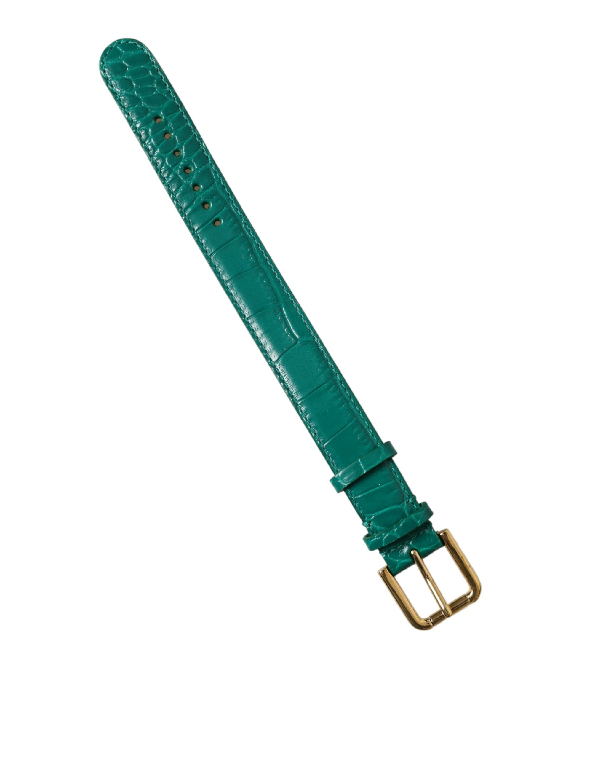 Dolce & Gabbana Elegant Green Leather Neck Band - Luksuslaukut ja asusteet Dolce & Gabbana - Tutustu YVES JAVANNI® 